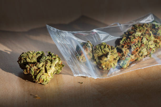 Is Recreational Weed Legal in Denver